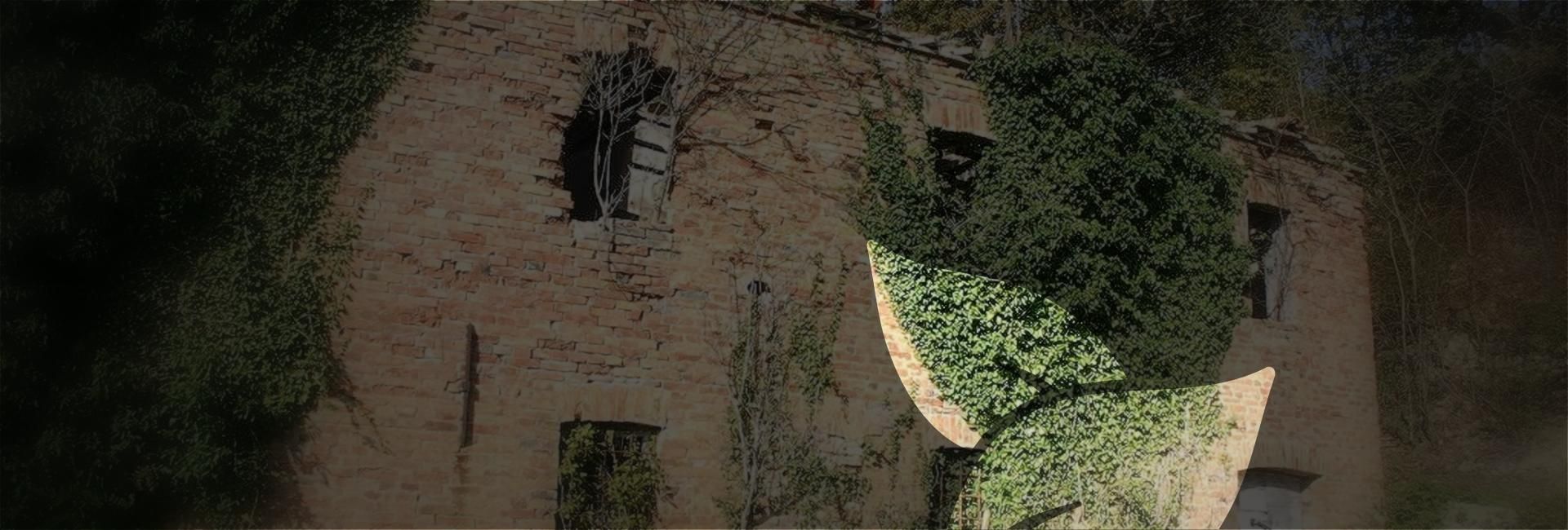 What to do if you see only vegetation?